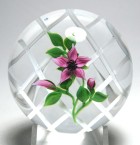 Magnum Victor Trabucco Pink Clematis Paperweight with Buds on Trellis