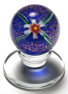 Charles Kaziun Jr. Miniature Tilted Pedestal White Spider Lily Paperweight with Cobalt Blue Aventurine Ground