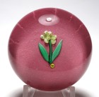 Very Early Francis Whittemore Miniature Yellow Lampwork Flower with Pink Ground Paperweight