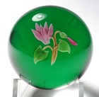 Francis Whittemore Pink Cyclamen Flower with Leaves and Bud Paperweight