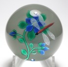 Robert Banford Blue Clematis with Buds and Dragonfly Paperweight
