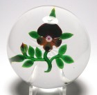 Large Antique Baccarat Dupont Period Type III Pansy Paperweight with Star Cut Base