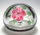 Magnum Orrefors Eva Englund Arne Lindblom Nypronos Floral Paperweight