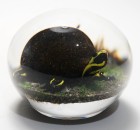 Rick Ayotte 1995 Miniature Pond Slider Turtle Paperweight