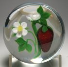 Victor Trabucco Strawberry with Flower and Bud Limited Edition Paperweight