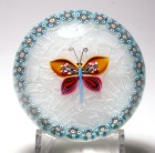 Spectacular Peter McDougall (PMcD) Special 2009 Midyear Collection Butterfly on Lace Paperweight